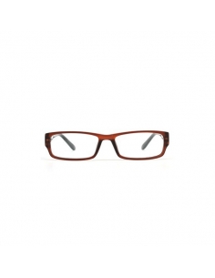 Gafa Nordic Visión Säter 2.50                           