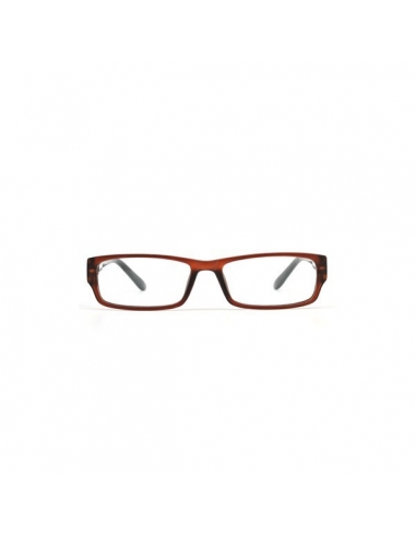 Gafa Nordic Visión Säter 2.50                           