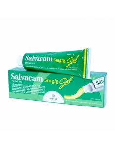 Salvacam Gel 60 G