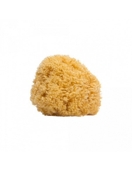 Suavinex Esponja Naturalgrande                 