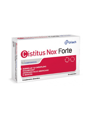 cistitus