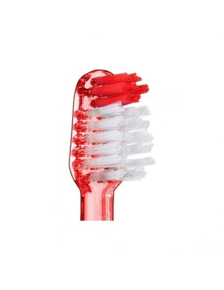Vitis Cepillo Access Duro                    